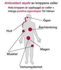 -localization-error-products-images-main-thumbnail-extra- 1