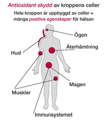 -localization-error-products-images-main-extra- 1