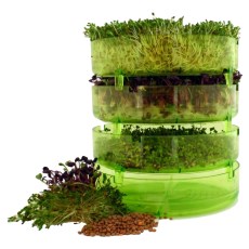 -localization-error-products-images-main-thumbnail-extra- 2