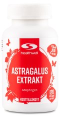 Astragalus Ekstrakt