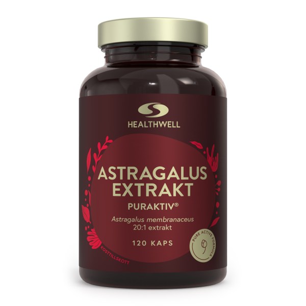 Astragalus Ekstrakt, 120 kapsler