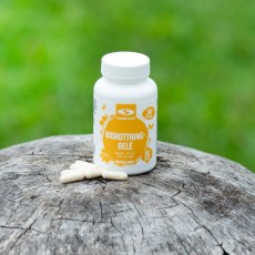 -localization-error-products-images-main-thumbnail-extra- 2