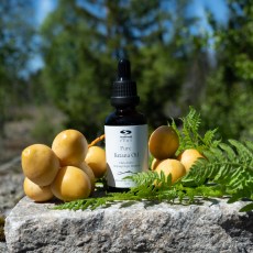 -localization-error-products-images-main-thumbnail-extra- 1