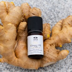 -localization-error-products-images-main-thumbnail-extra- 1