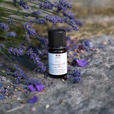 -localization-error-products-images-main-thumbnail-extra- 1