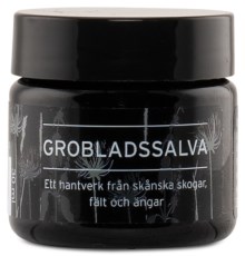 Herbasensia Salve m. Glat Vejbred