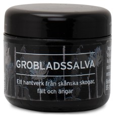 Herbasensia Salve m. Glat Vejbred