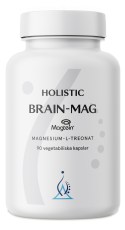 Holistic Brain-Mag