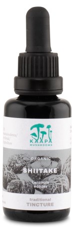 -localization-error-products-images-main-thumbnail- K��P� Shiitake Extract Tincture, 30 ml