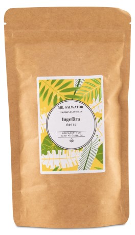 -localization-error-products-images-main-thumbnail- Mr Salwator Ingef�rstykker, 100 g