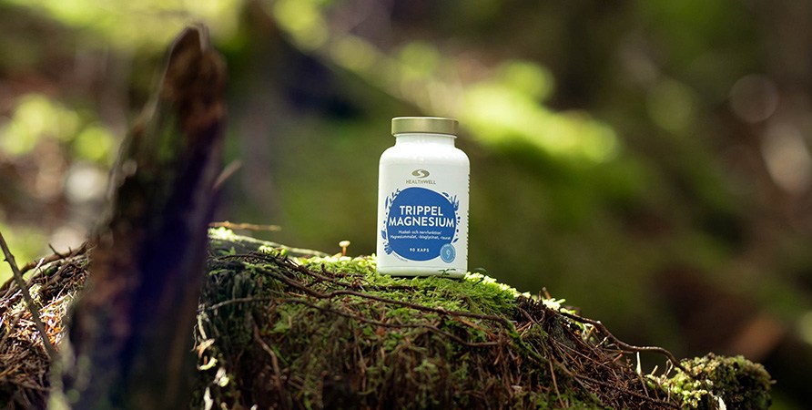 En træstub i en skov er dækket med mos, men en bøtte med Healthwell Trippel Magnesium ovenpå.