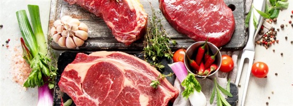 Hvordan fungerer carnivore-diten?