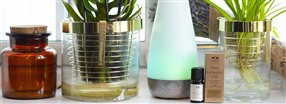 Rens luften med �teriske olier