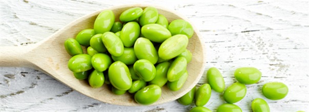 Hvor godt er sojaprotein?