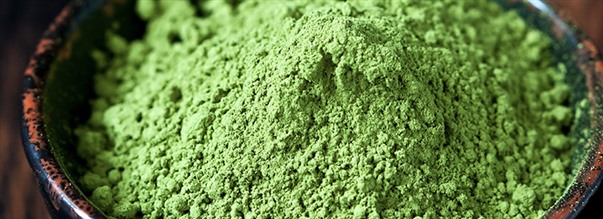 Alt om helsedrikken matcha