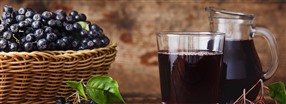 Aronia - det n�ringsrige superb�r