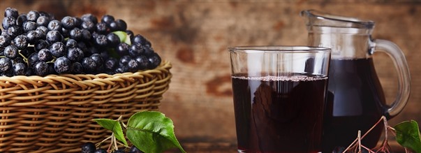 Aronia - det n�ringsrige superb�r