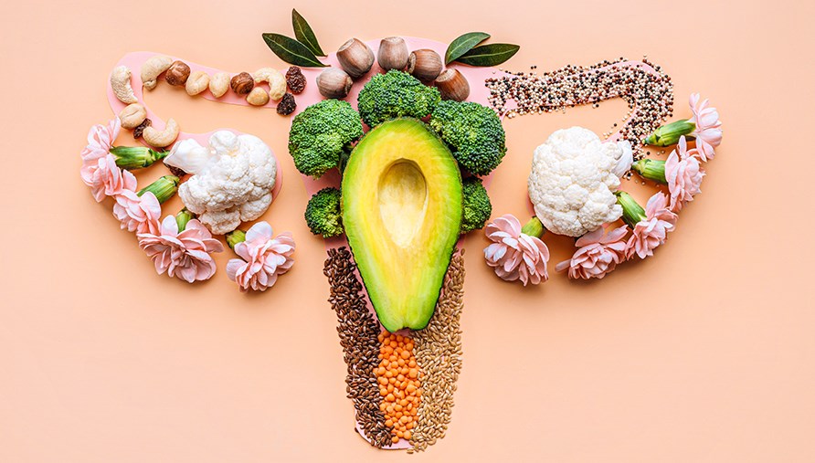 Frugt og grntsager illustrerer en livmoder