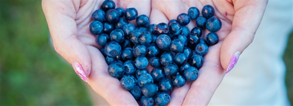 Derfor er blbr s sunde