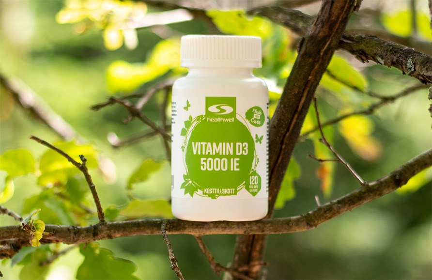Healthwell Vitamin D3 5000 IE st�r p� en tynd gren i et l�vtr�. Baggrunden er frodig og sl�ret. 