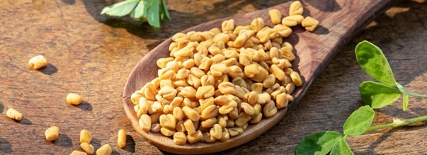 Hvad er bukkehornsklver?