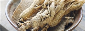 Alt om popul�re ginseng