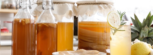 Superdrikken kombucha