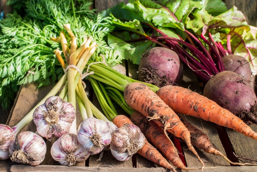 Økologiske grøntsager ligger på et træbord. Økologiske grøntsager ligger på et træbord.