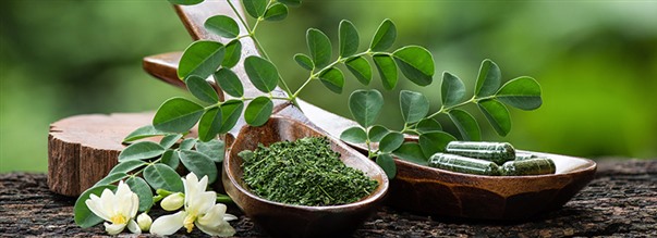Mirakeltret moringa