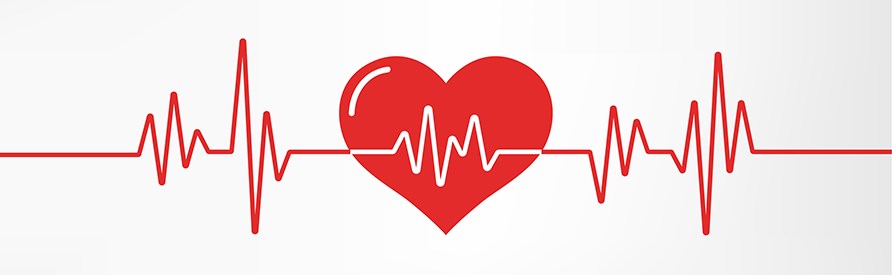 Et illustreret rdt EKG med hjerte.