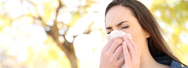 Pollenallergi