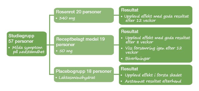 Grnt tankekort omkring forskningsrapport om rosenrod.