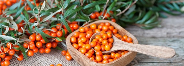 Bedste kosttilskud til overgangsalderen 