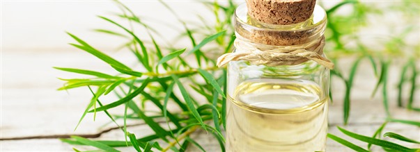 Tea tree-olie som hudpleje