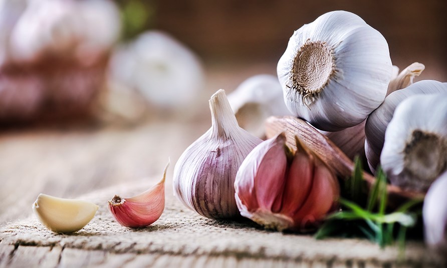 Hvidløg i en skål. Hvidløg i en skål.