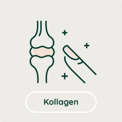 Kollagen