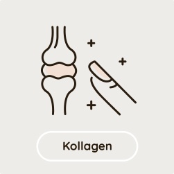Kollagen