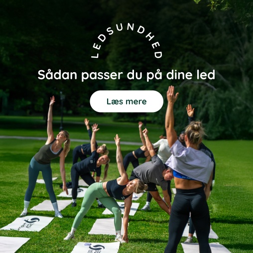 Artikel: S�dan passer du p� dine led